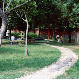 台中中正公園-MOFA109179CF-2020-12-SL00040-089