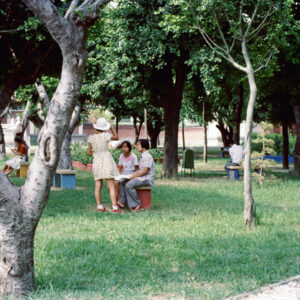 台中中正公園-MOFA109179CF-2020-12-SL00040-090