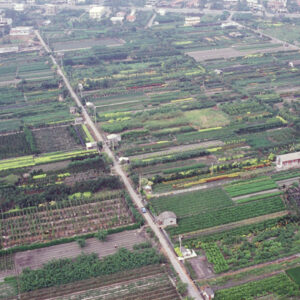 彰化田尾-MOFA109179CF-2020-12-SL00040-095