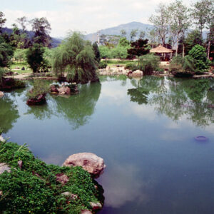 南投風光-MOFA109179CF-2020-12-SL00040-104