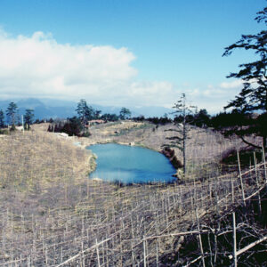 福壽山農場-MOFA109179CF-2020-12-SL00040-113