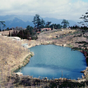 福壽山農場-MOFA109179CF-2020-12-SL00040-114