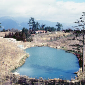 福壽山農場-MOFA109179CF-2020-12-SL00040-116