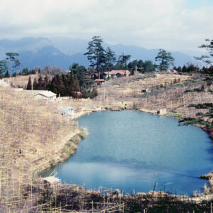 福壽山農場-MOFA109179CF-2020-12-SL00040-117