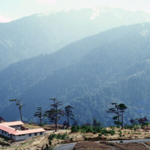 福壽山農場-MOFA109179CF-2020-12-SL00040-124