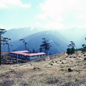 福壽山農場-MOFA109179CF-2020-12-SL00040-127