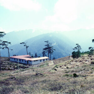 福壽山農場-MOFA109179CF-2020-12-SL00040-128