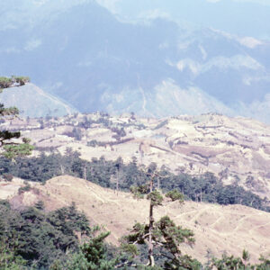 福壽山農場-MOFA109179CF-2020-12-SL00040-131