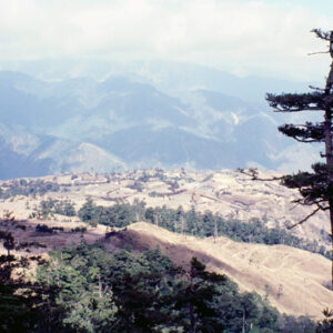 福壽山農場-MOFA109179CF-2020-12-SL00040-132