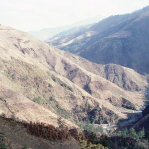 福壽山農場-MOFA109179CF-2020-12-SL00040-135