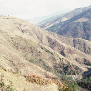 福壽山農場-MOFA109179CF-2020-12-SL00040-137