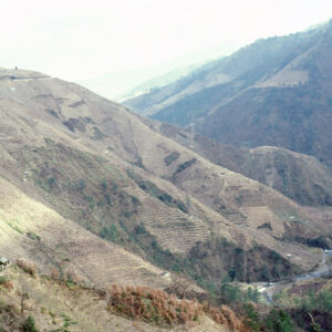 福壽山農場-MOFA109179CF-2020-12-SL00040-138