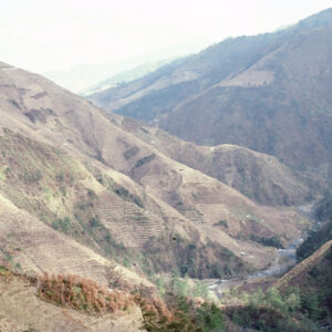 福壽山農場-MOFA109179CF-2020-12-SL00040-139