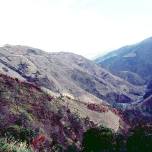 福壽山農場-MOFA109179CF-2020-12-SL00040-140