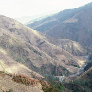 福壽山農場-MOFA109179CF-2020-12-SL00040-141