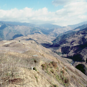 福壽山農場-MOFA109179CF-2020-12-SL00040-142