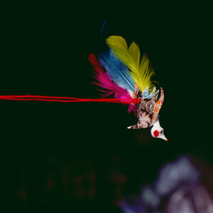 龍舟(鹿港民俗活動)-MOFA109179CF-2020-12-SL00041-115