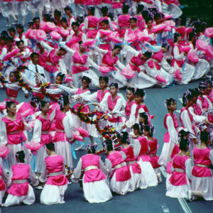 國慶大會及遊行活動-MOFA109179CF-2020-12-SL00043-109