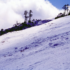 合歡山-MOFA109179CF-2020-12-SL00045-044