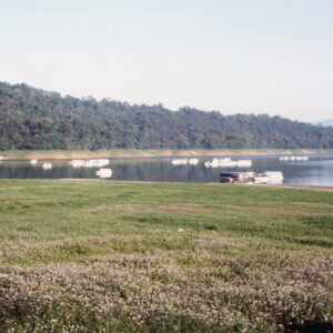 日月潭-MOFA109179CF-2020-12-SL00045-172