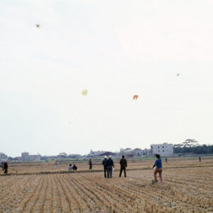 民俗體育-MOFA109179CF-2020-12-SL00051-031