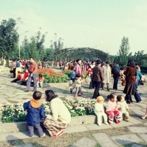 觀光節園遊會-MOFA109179CF-2020-12-SL00052-024