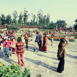 觀光節園遊會-MOFA109179CF-2020-12-SL00052-025