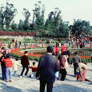 觀光節園遊會-MOFA109179CF-2020-12-SL00052-026