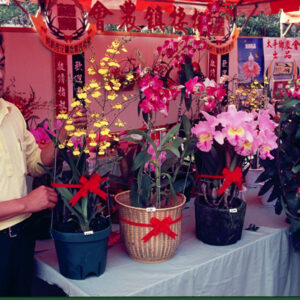 第二屆中華民藝華會-MOFA109179CF-2020-12-SL00052-056