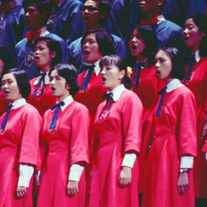 紀念蔣公九秩誕辰音樂晚會-MOFA109179CF-2020-12-SL00058-043