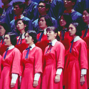 紀念蔣公九秩誕辰音樂晚會-MOFA109179CF-2020-12-SL00058-044