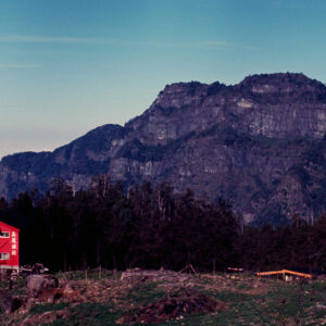 阿里山-MOFA109179CF-2020-12-SL00062-002