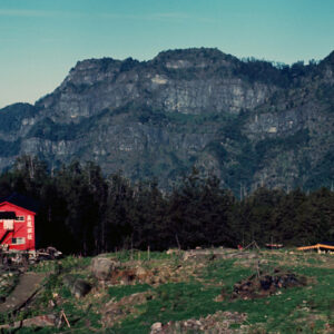 阿里山-MOFA109179CF-2020-12-SL00062-003