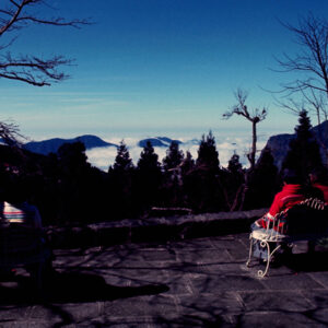 阿里山-MOFA109179CF-2020-12-SL00062-004