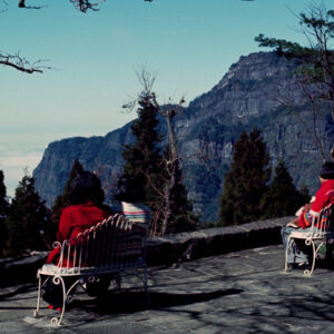 阿里山-MOFA109179CF-2020-12-SL00062-005