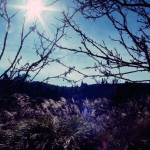 阿里山-MOFA109179CF-2020-12-SL00062-008