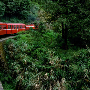 阿里山-MOFA109179CF-2020-12-SL00062-031