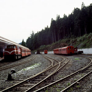 阿里山-MOFA109179CF-2020-12-SL00062-032