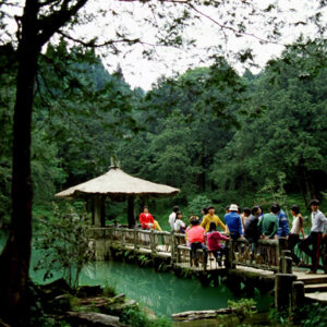 阿里山-MOFA109179CF-2020-12-SL00062-033