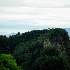 阿里山-MOFA109179CF-2020-12-SL00062-034