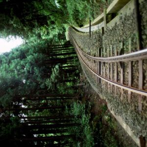 阿里山-MOFA109179CF-2020-12-SL00062-035