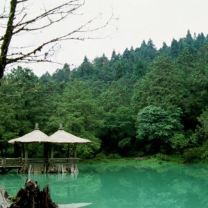 阿里山-MOFA109179CF-2020-12-SL00062-041