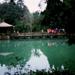 阿里山-MOFA109179CF-2020-12-SL00062-054