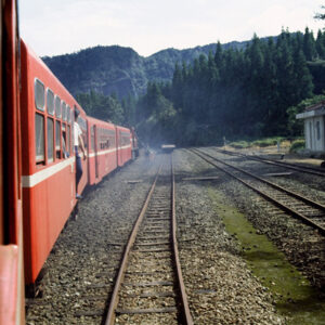 阿里山-MOFA109179CF-2020-12-SL00062-055