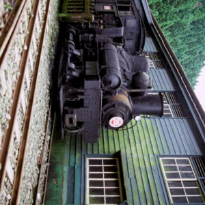 阿里山-MOFA109179CF-2020-12-SL00062-056