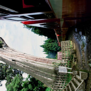 阿里山-MOFA109179CF-2020-12-SL00062-058