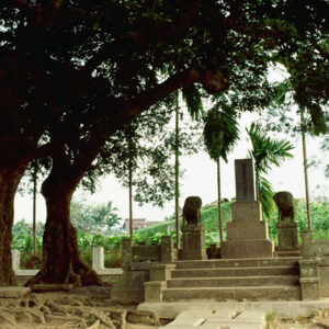 阿里山-MOFA109179CF-2020-12-SL00062-060