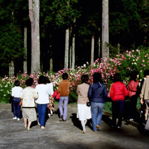 阿里山-MOFA109179CF-2020-12-SL00062-069