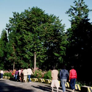 阿里山-MOFA109179CF-2020-12-SL00062-071