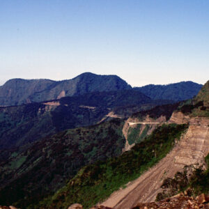 阿里山-MOFA109179CF-2020-12-SL00062-072